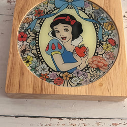 Snow White Inspired  Wood Night Light