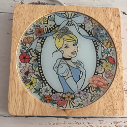 Cinderella Inspired  Wood Night Light